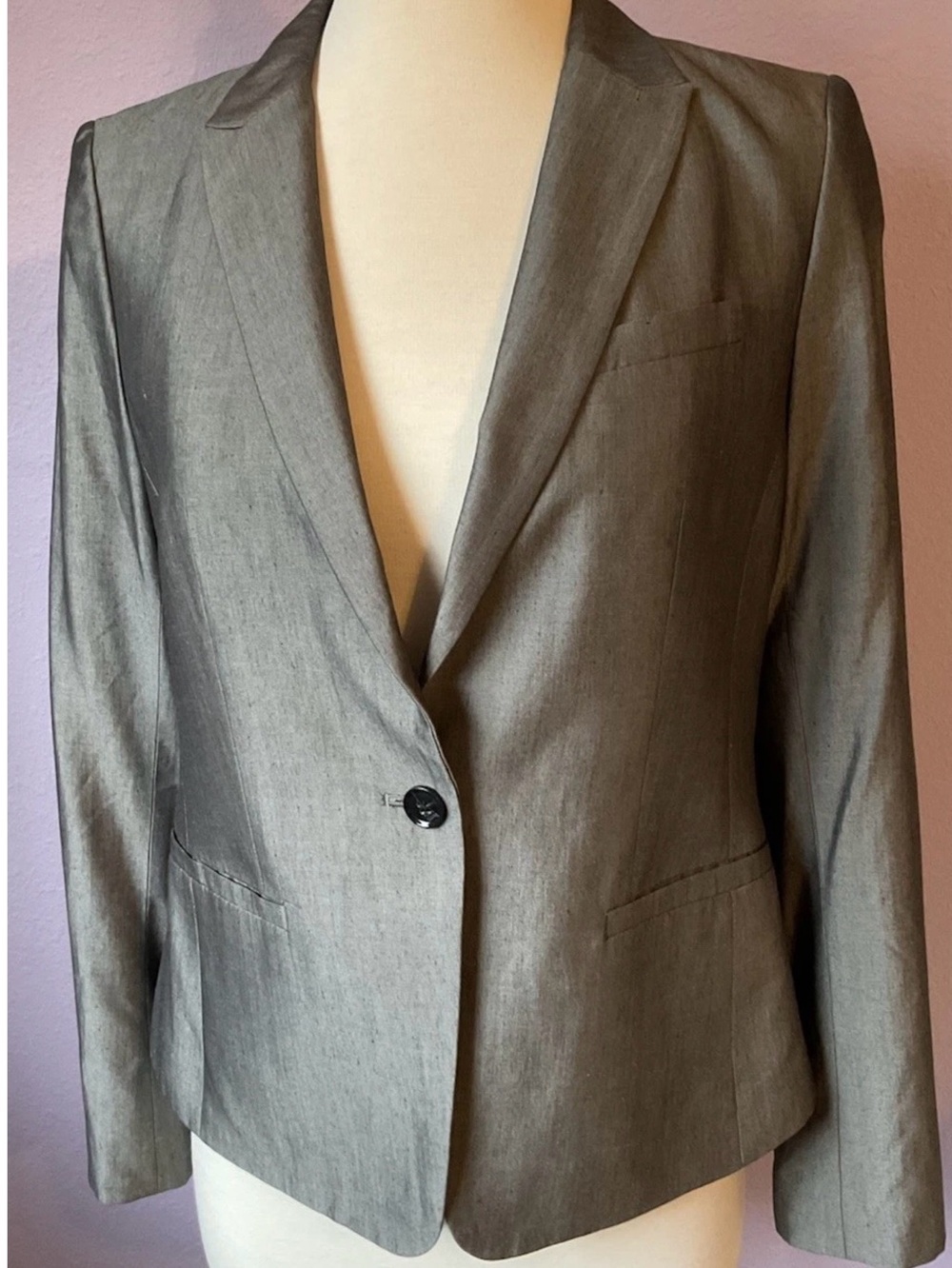 Banana Republic Women’s Gray Shimmery Rayon Silk Blazer Size 14